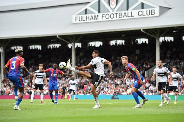 全力以赴 全力以赴