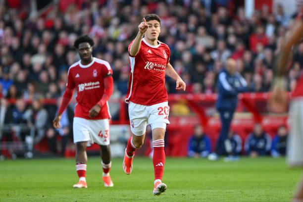 的基礎事實 的基礎事實